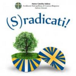 (S)radicati 2015-2016